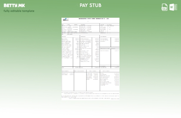 Модерен стил Махараштара државен генерирање електрична енергија Ко. Paystub Шабл